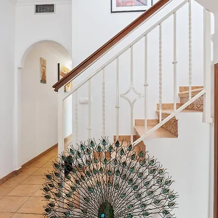 Penthouse With Large Terrace & Sea Views, Near The La Herradura (Granada)